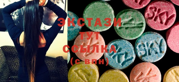 ECSTASY Богданович